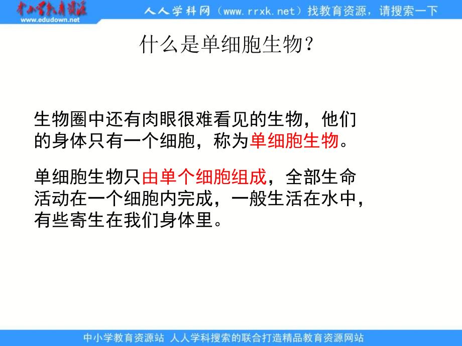 人教版七上《只有一个细胞的生物体》ppt课件3资料_第3页