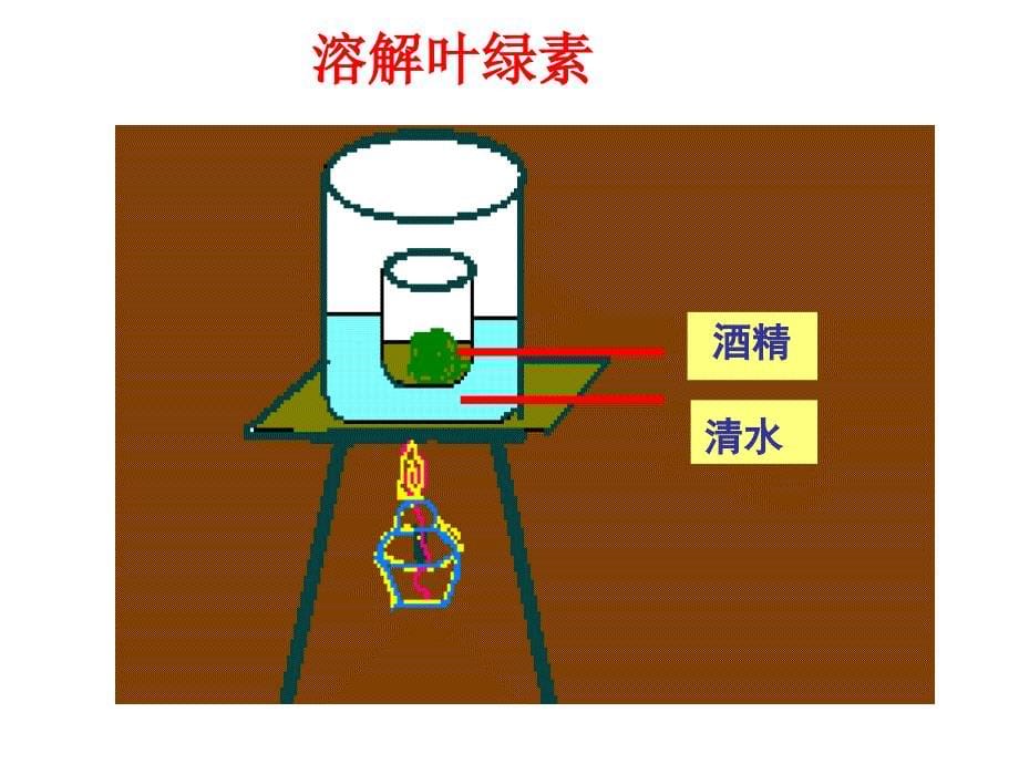 人教版七上《绿色植物通过光合作用制造有机物》ppt课件4资料_第5页