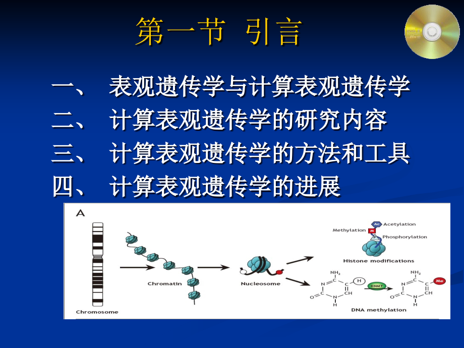 8年制生物信息学ppt课件 第13章_第2页