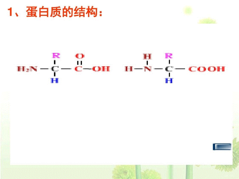 第二单元细胞的自我保障ppt课件-完整版_第3页