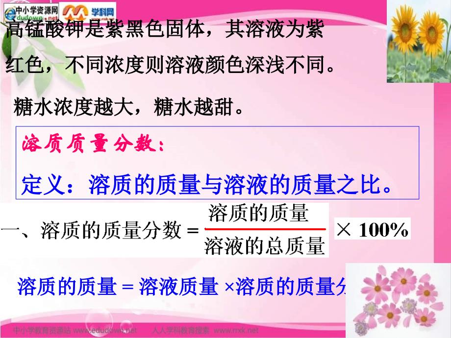 人教版化学九年《溶质的质量分数》ppt课件之四资料_第2页