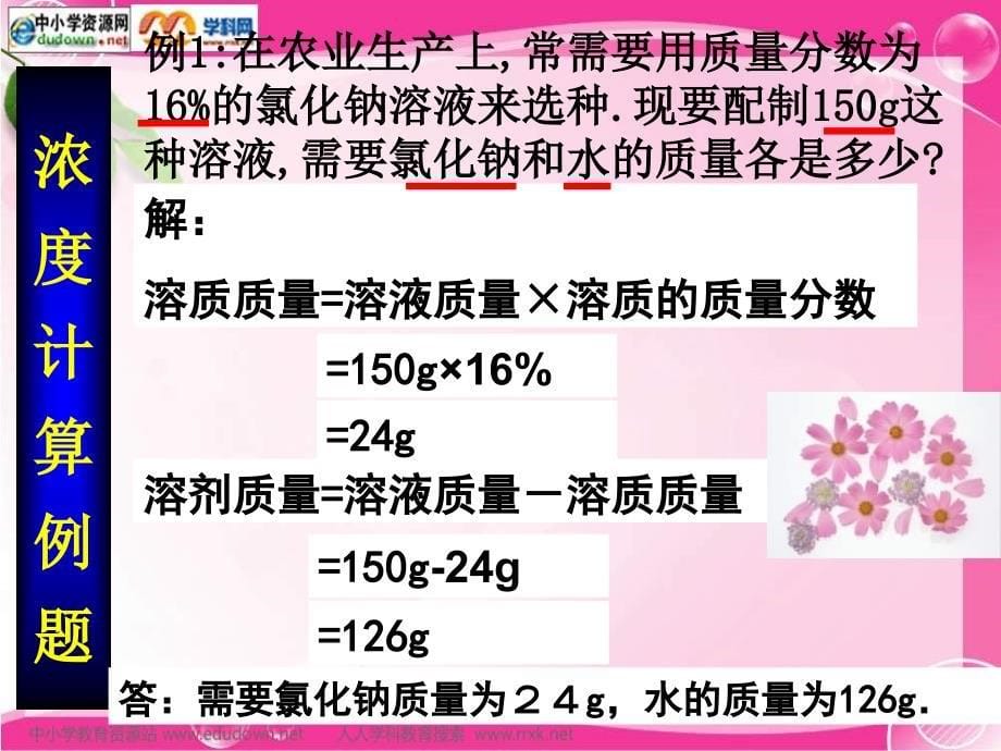 人教版化学九年《溶质的质量分数》ppt课件之四资料_第5页