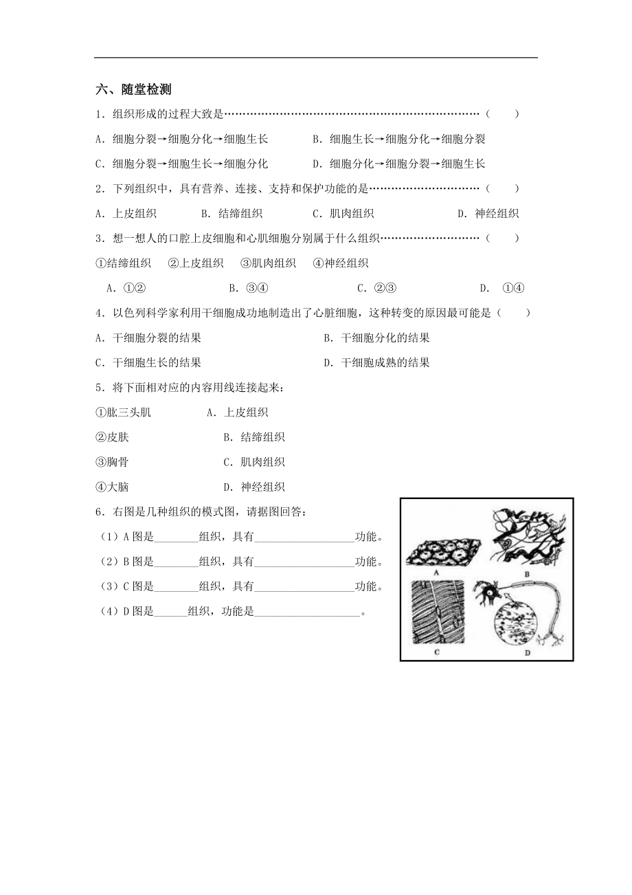 动物的结构层次导学案资料_第2页