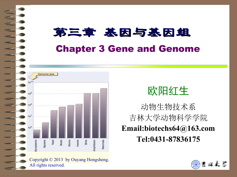 分子遗传课件130725第三章 基因与基因组_第1页