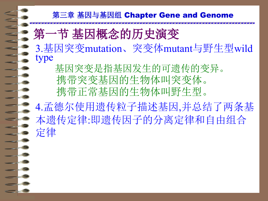 分子遗传课件130725第三章 基因与基因组_第4页