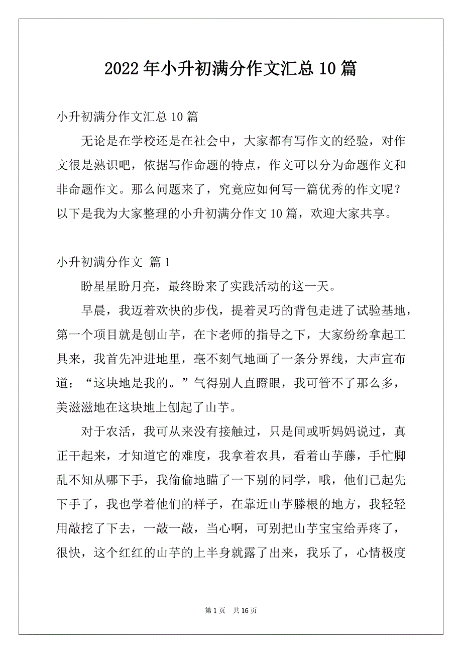 2022年小升初满分作文汇总10篇_第1页