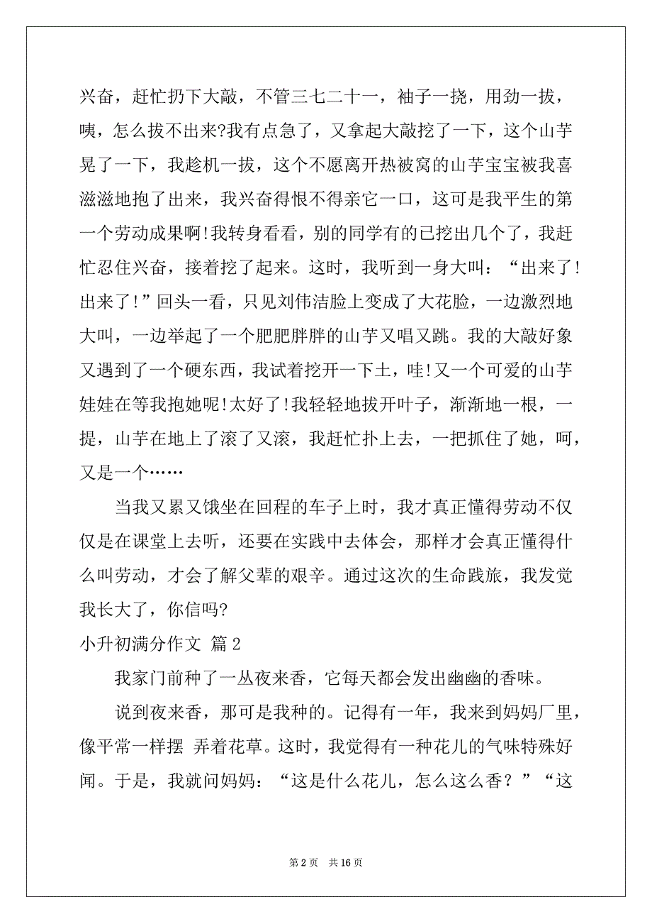 2022年小升初满分作文汇总10篇_第2页