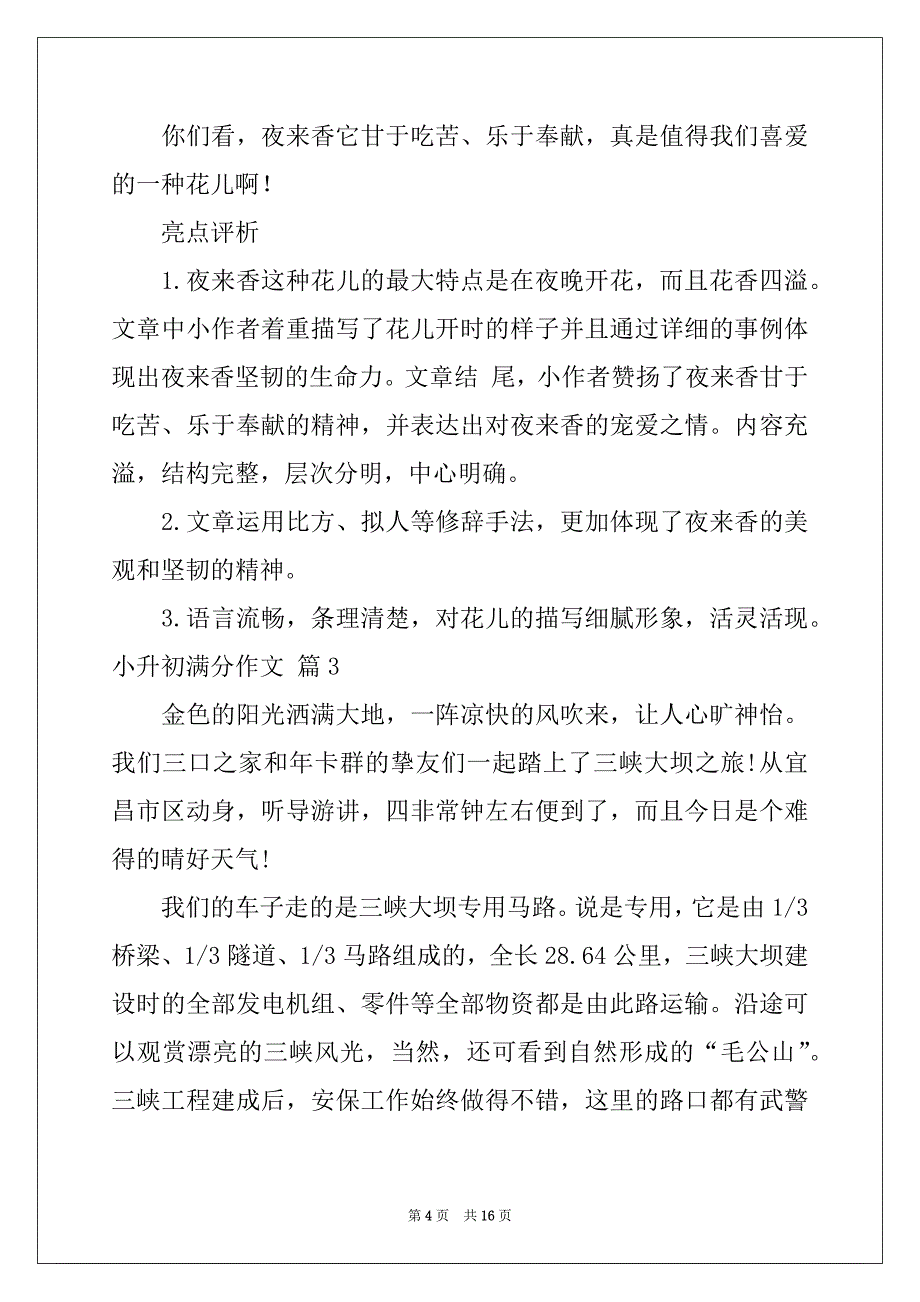 2022年小升初满分作文汇总10篇_第4页