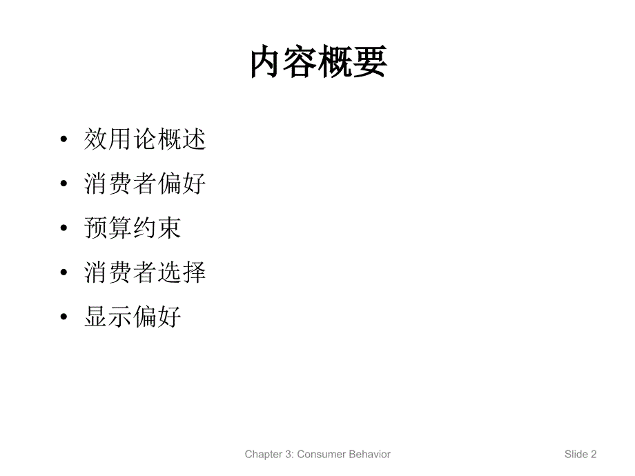 微观经济学：第三章 消费者行为_第2页