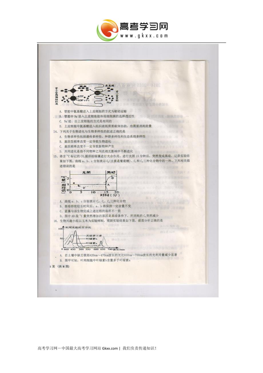 河南省八市重点高中2015届高三第二次联考生物试卷（扫描版）_第4页