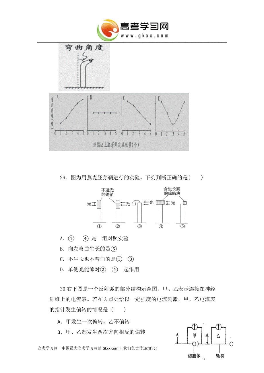 福建省诏安县桥东中学2014—2015学年高二上学期期中考试生物试卷 Word版含答案_第5页