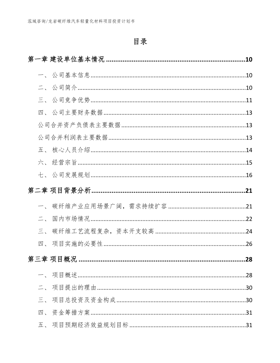 龙岩碳纤维汽车轻量化材料项目投资计划书（模板）_第2页