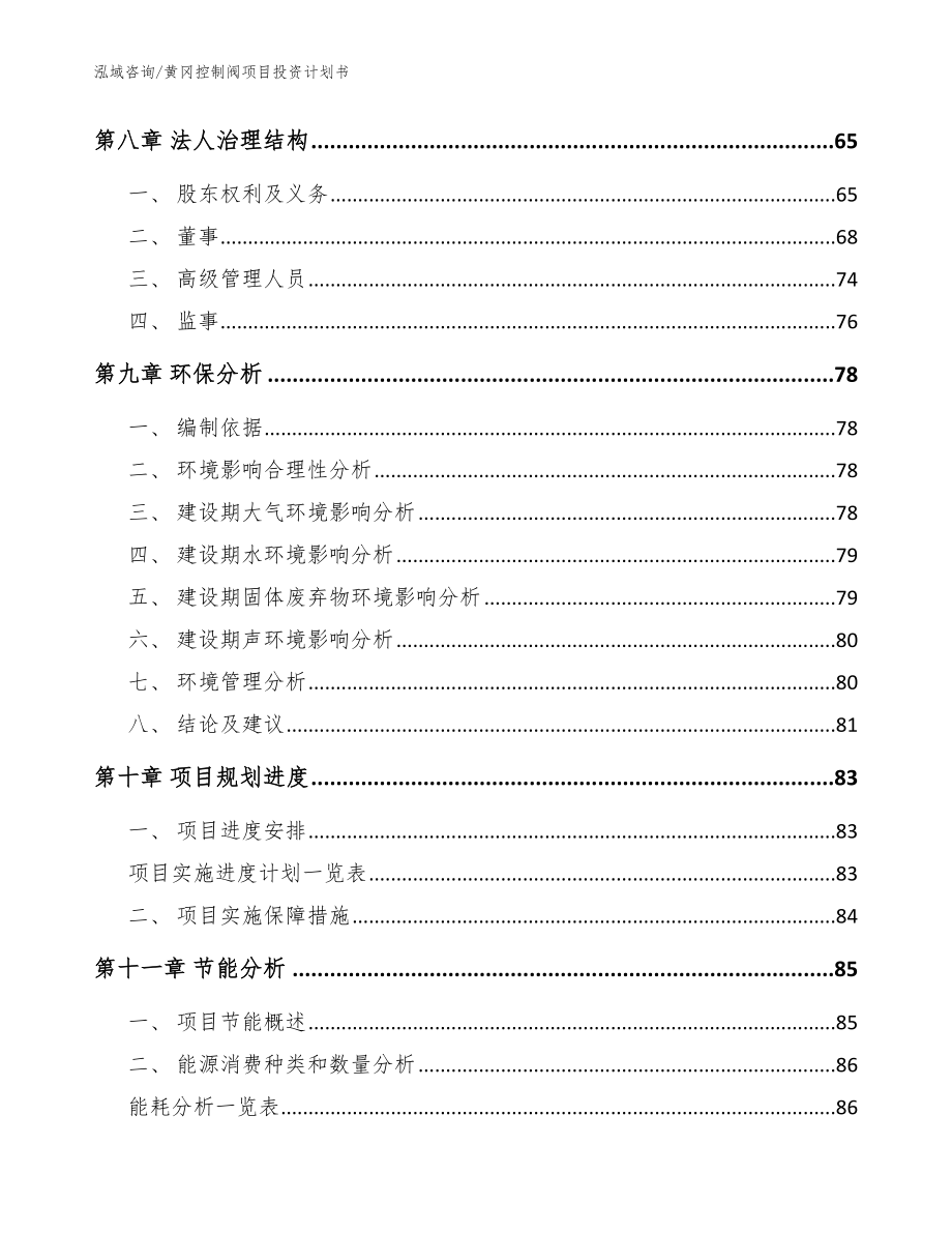 黄冈控制阀项目投资计划书（参考范文）_第4页