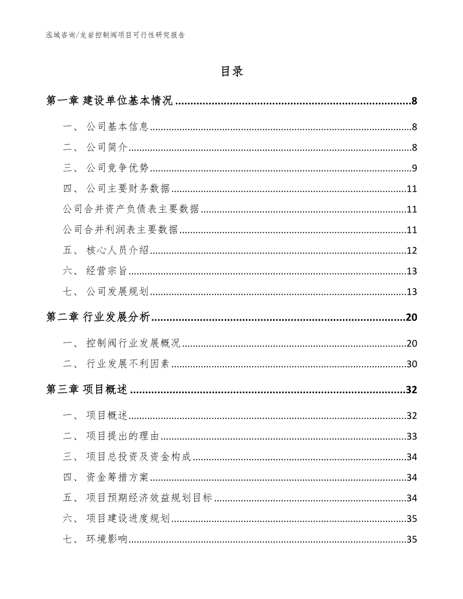 龙岩控制阀项目可行性研究报告（范文参考）_第1页