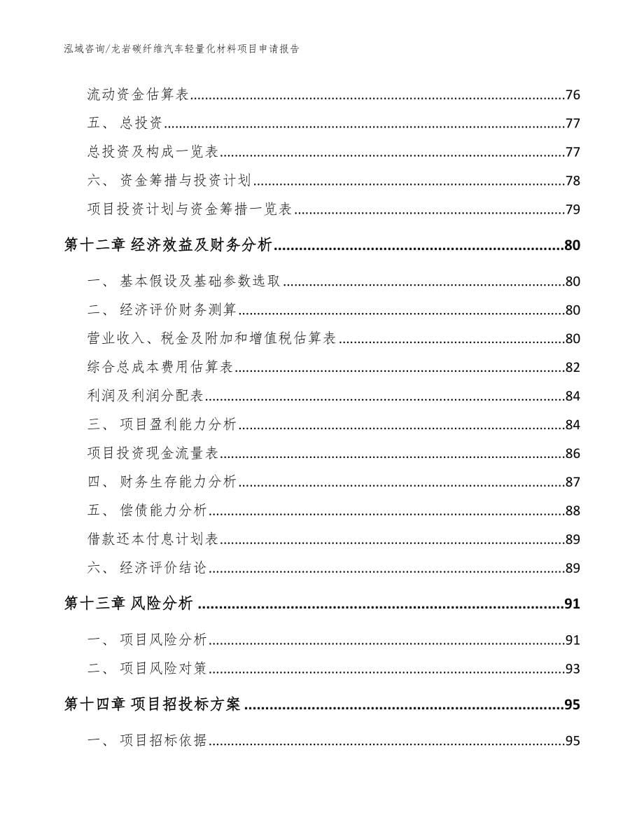 龙岩碳纤维汽车轻量化材料项目申请报告_模板_第5页