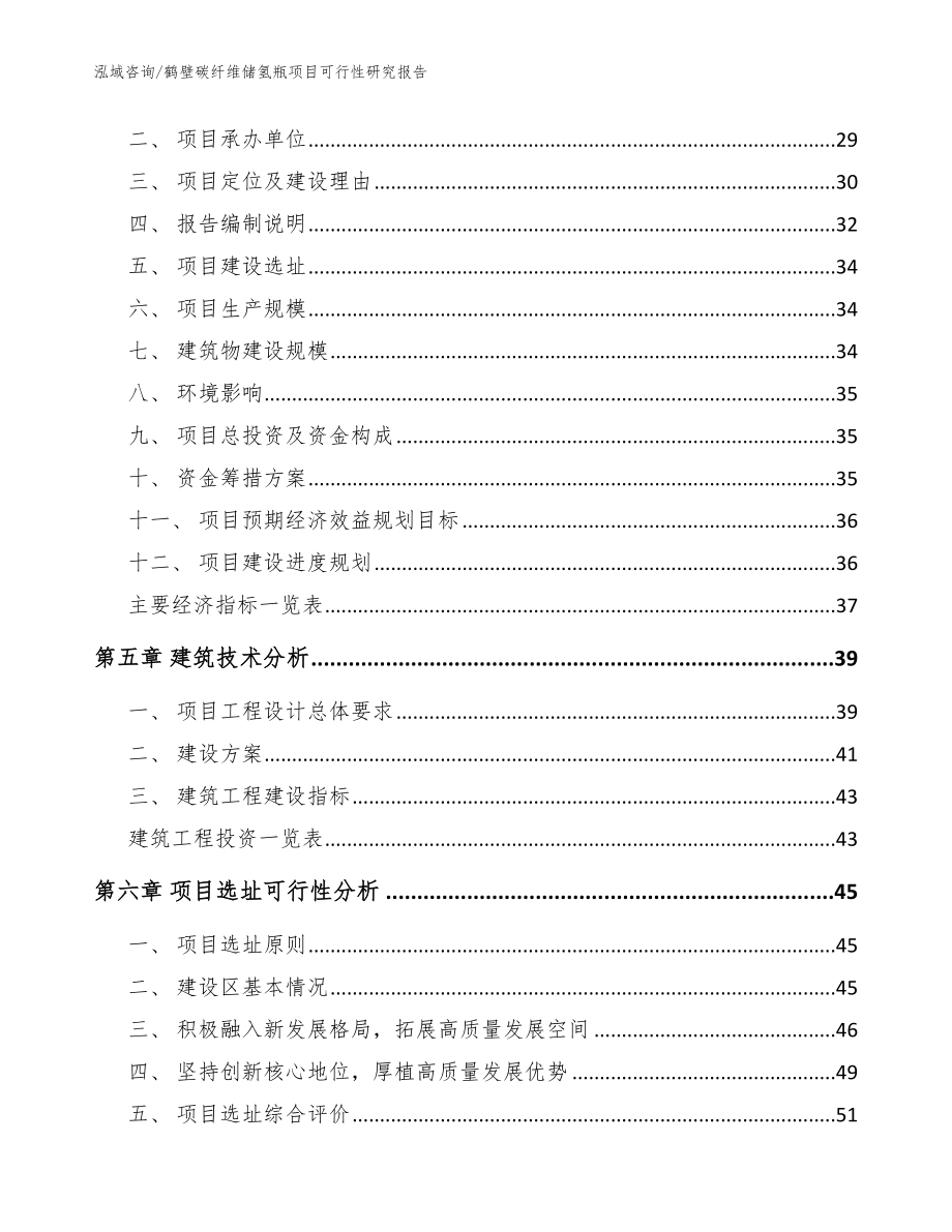 鹤壁碳纤维储氢瓶项目可行性研究报告【范文模板】_第2页