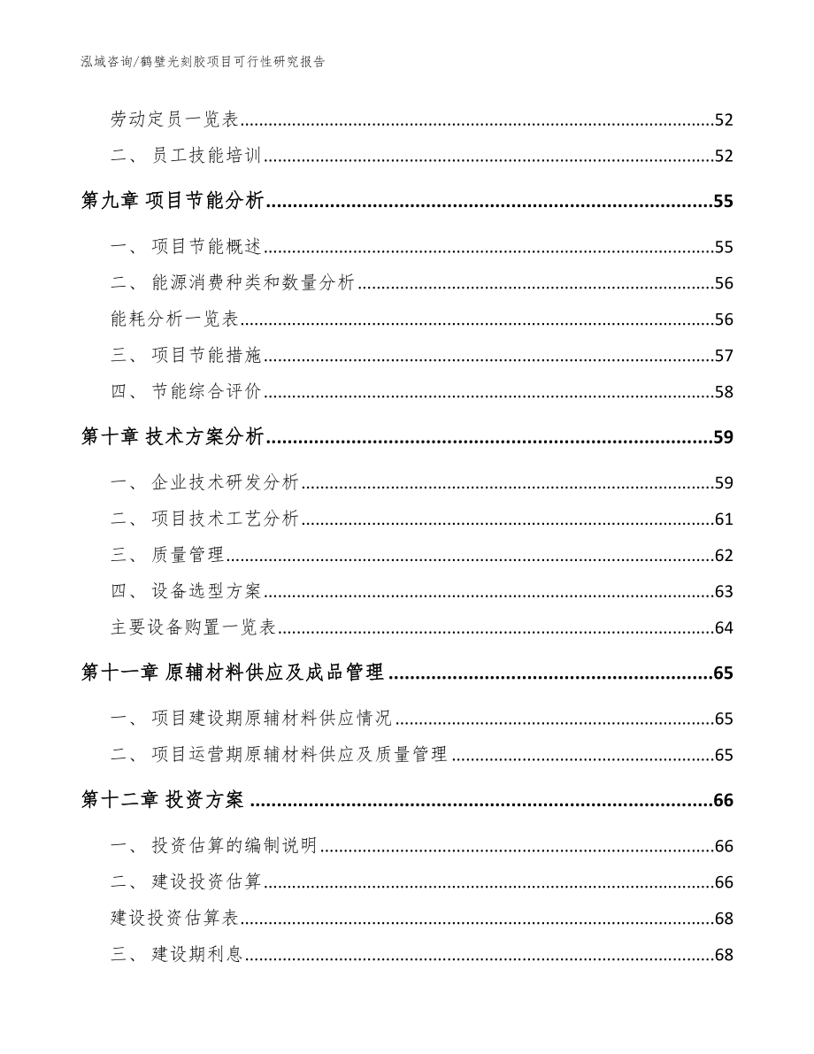 鹤壁光刻胶项目可行性研究报告_范文模板_第3页