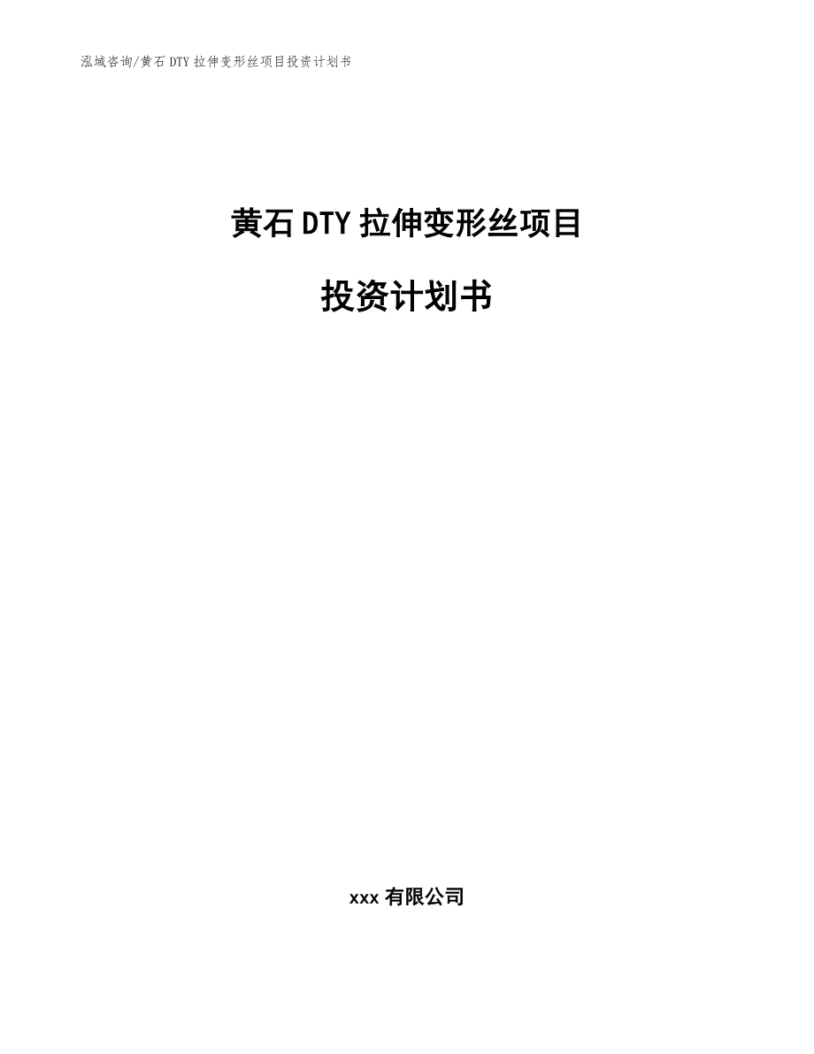 黄石DTY拉伸变形丝项目投资计划书（模板）_第1页