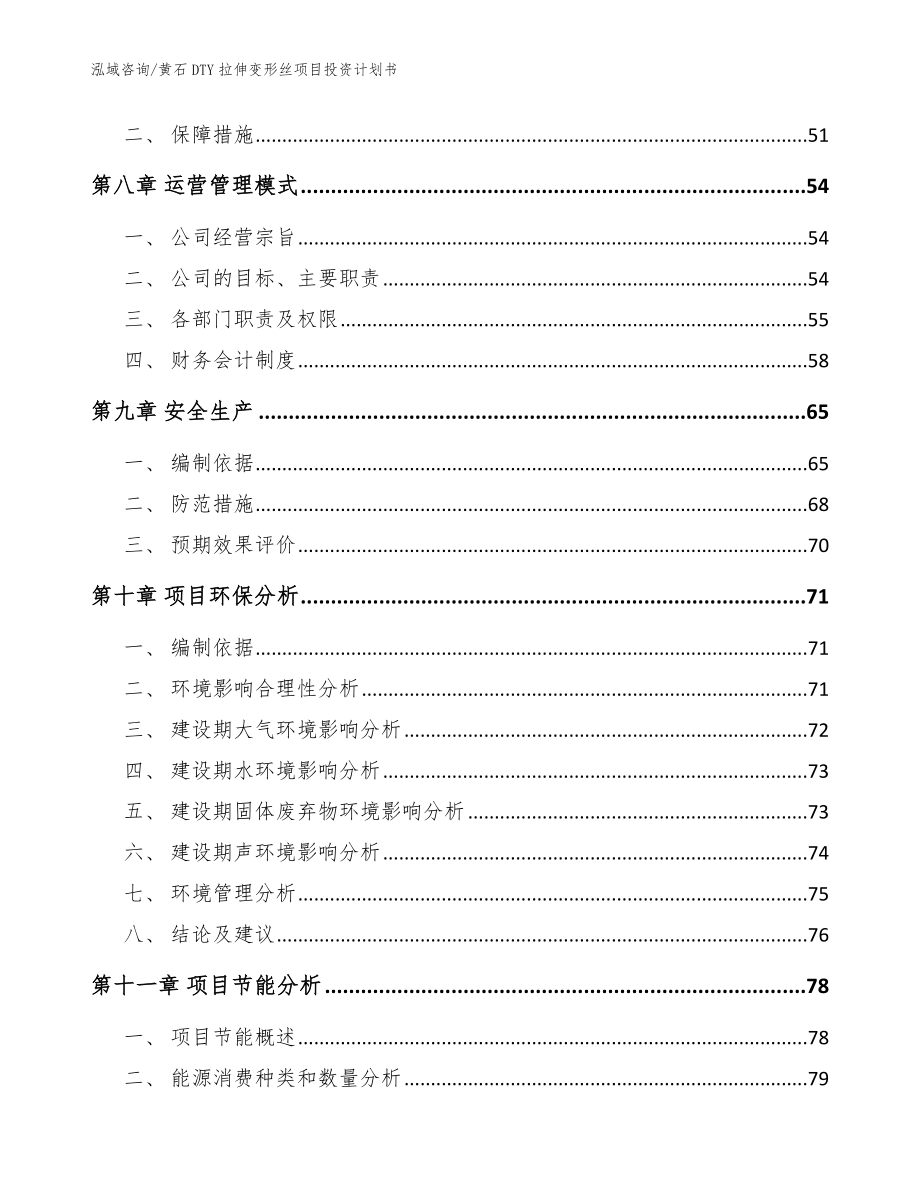 黄石DTY拉伸变形丝项目投资计划书（模板）_第4页