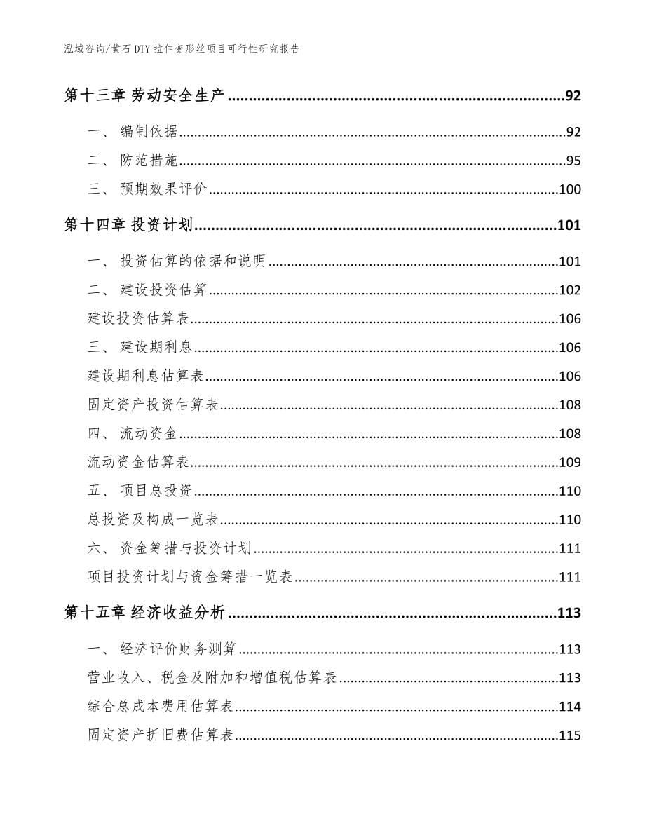 黄石DTY拉伸变形丝项目可行性研究报告（模板范本）_第5页