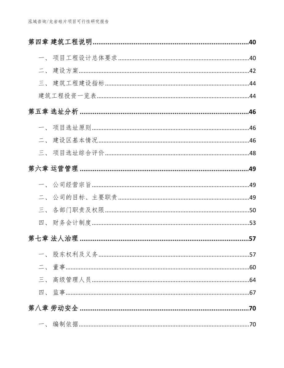 龙岩硅片项目可行性研究报告_模板范文_第5页