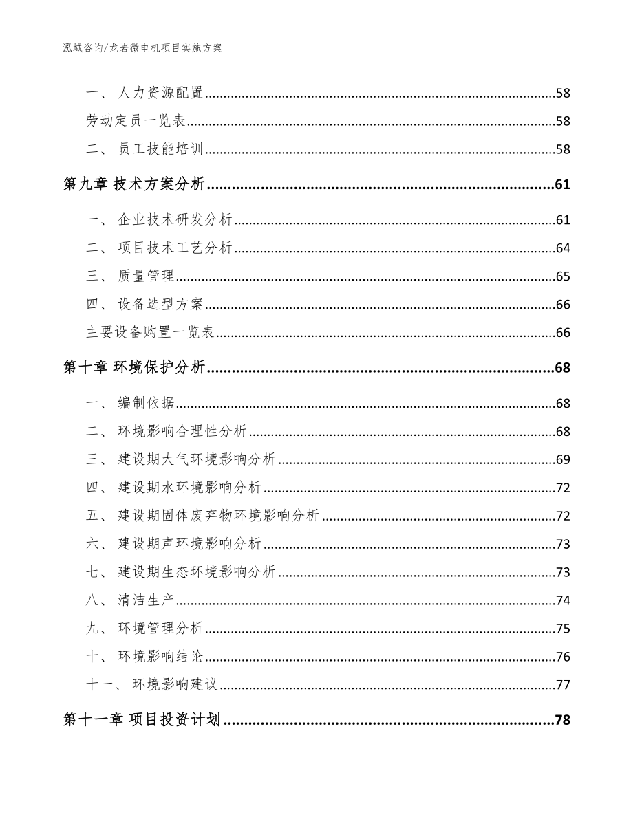 龙岩微电机项目实施方案（模板参考）_第3页