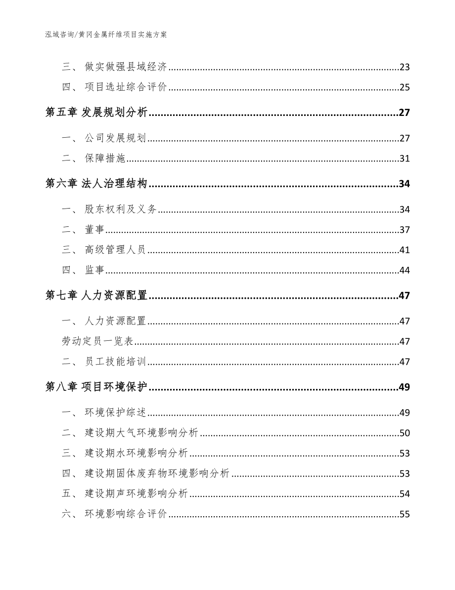 黄冈金属纤维项目实施方案范文模板_第2页