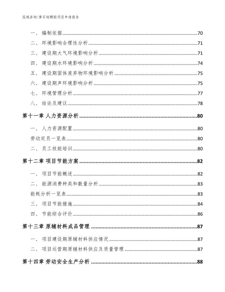 黄石硅酮胶项目申请报告_模板范本_第5页