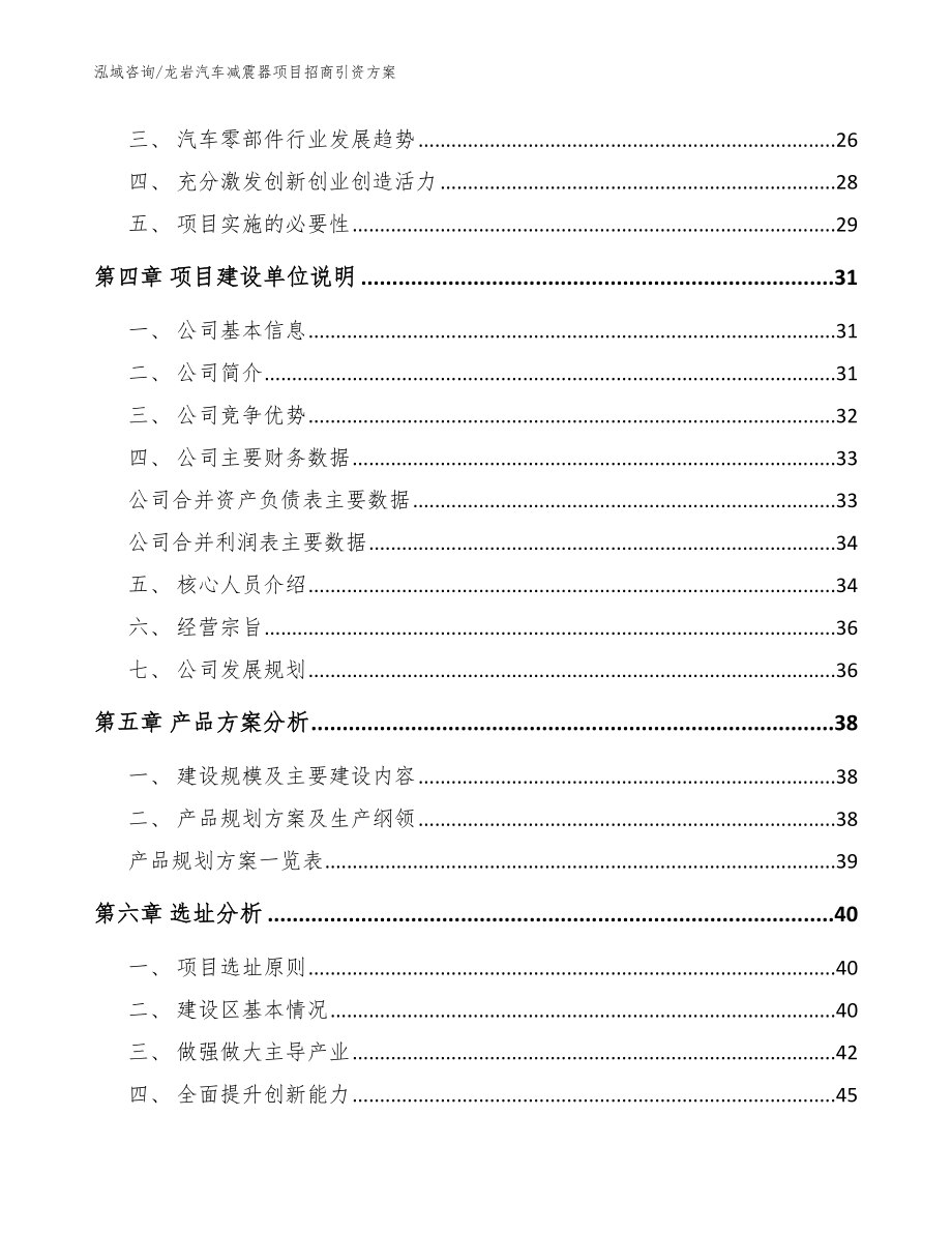 龙岩汽车减震器项目招商引资方案参考模板_第3页