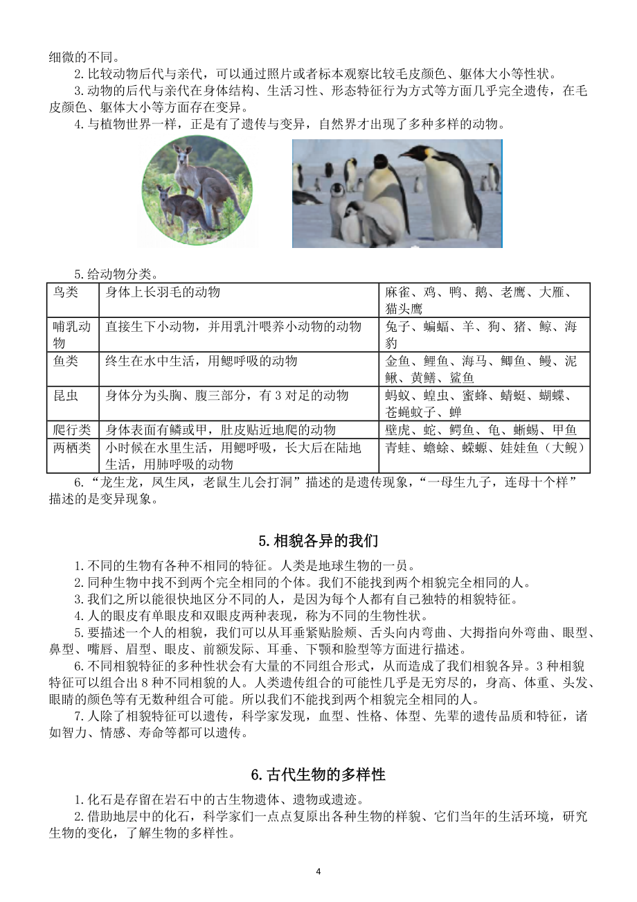 小学科学教科版六年级下册第二单元《生物的多样性》知识点整理（共7课）（2022新版）_第4页