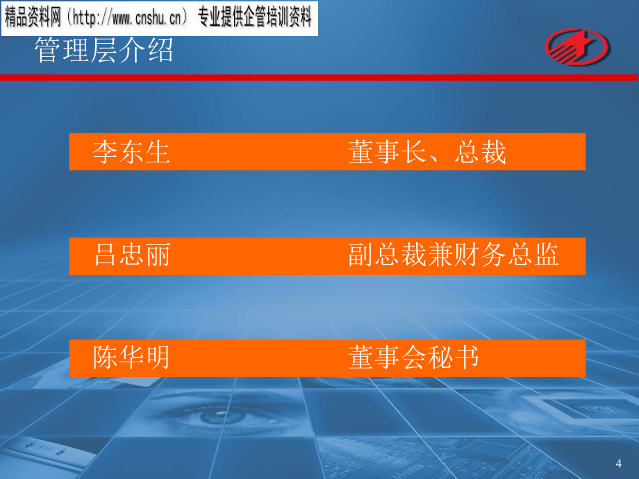 TCL集团的首次公开发行(PPT44页)_第4页