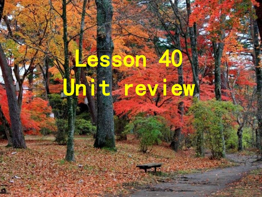 八年级英语上册 Unit 7 Enjoy Your Hobby Lesson 40 What_第1页