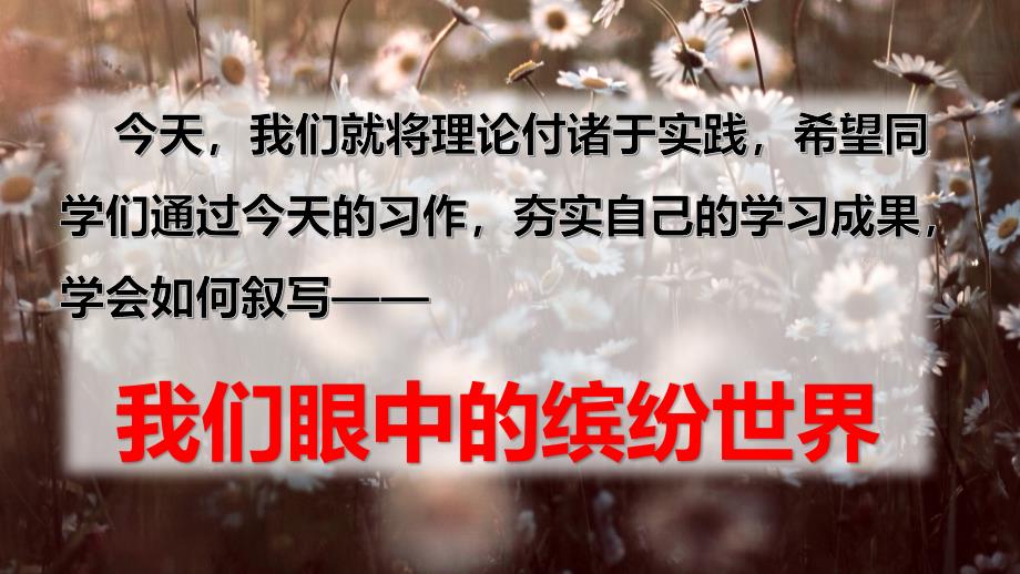 三年级语文上册 习作 我们眼中的缤纷世界 课件(PPT 23页)_第4页