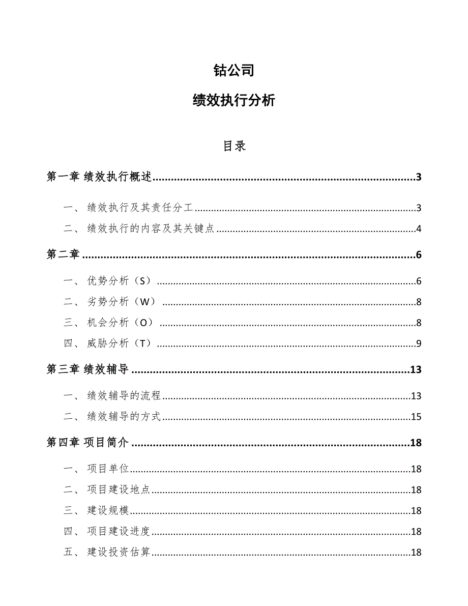 钴公司绩效执行分析范文_第1页