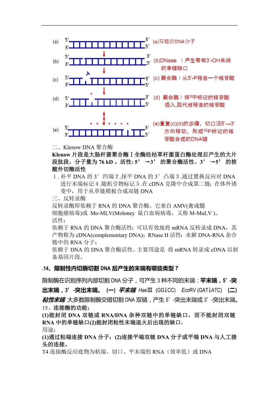 基因工程整理资料_第5页