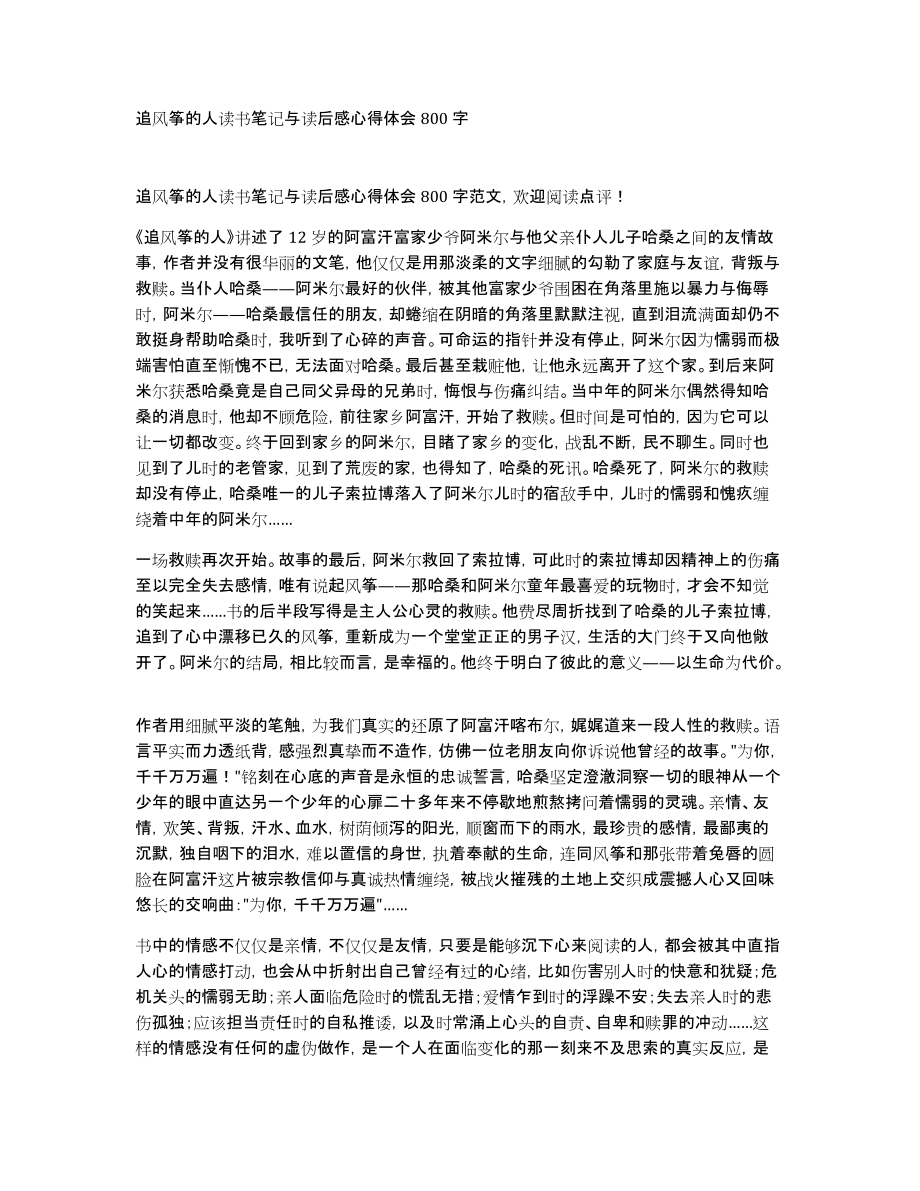 追风筝的人读书笔记与读后感心得体会800字_第1页