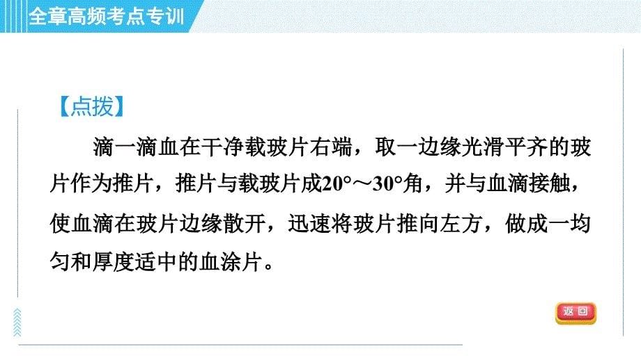 浙教版九年级上册科学 第4章 专项训练：相关重要的生物实验 习题课件_第5页