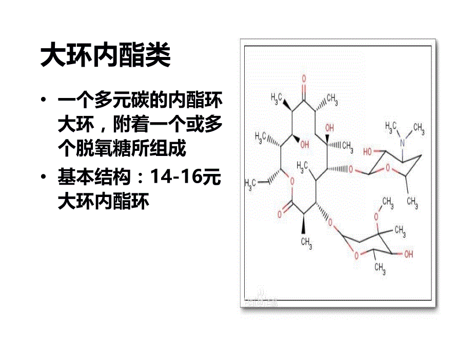 除β-内酰胺类抗生素PPT课件_第2页