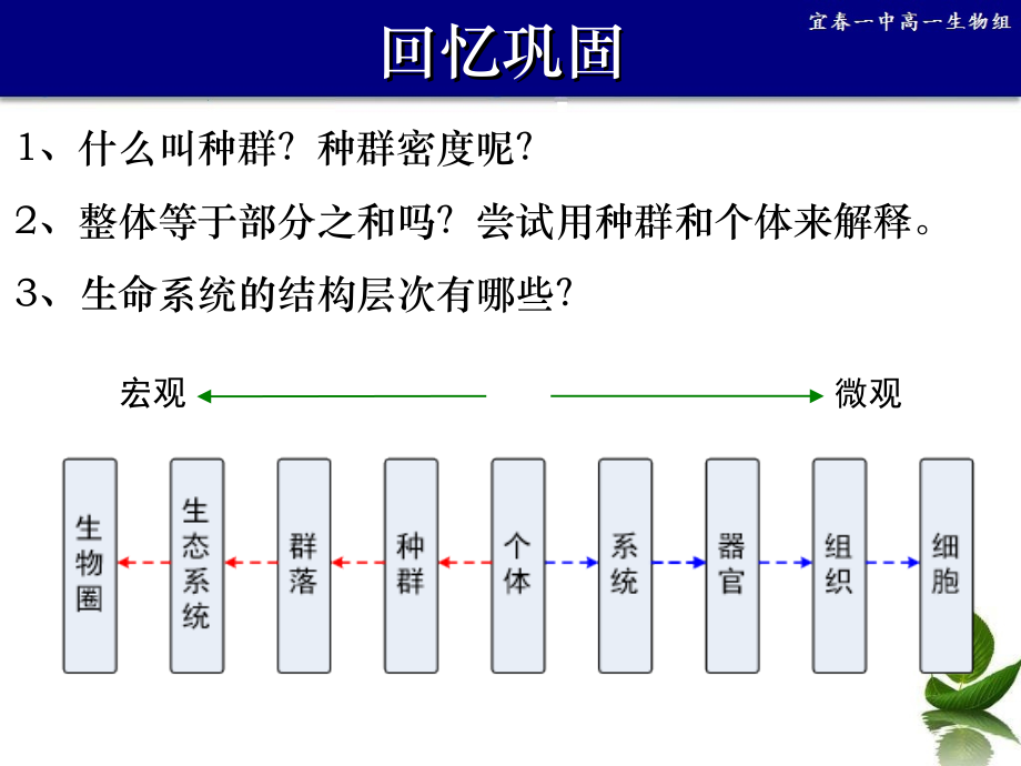 群落的结构—上课版PPT课件_第1页