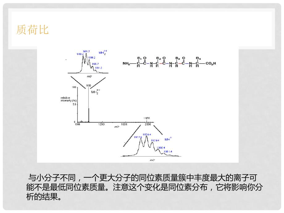 三重四级杆质谱仪原理详解PPT课件_第4页