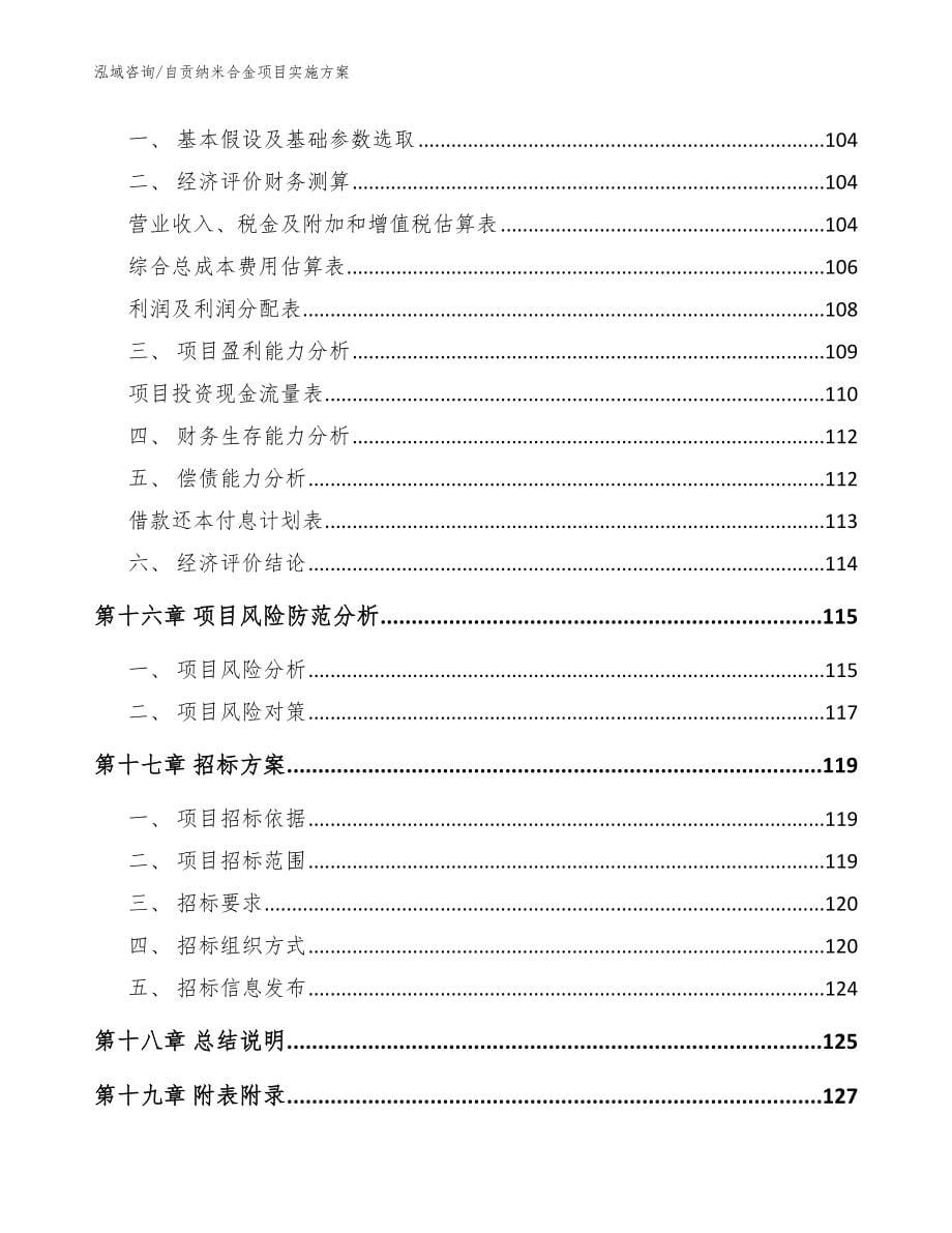 自贡纳米合金项目实施方案【模板范文】_第5页