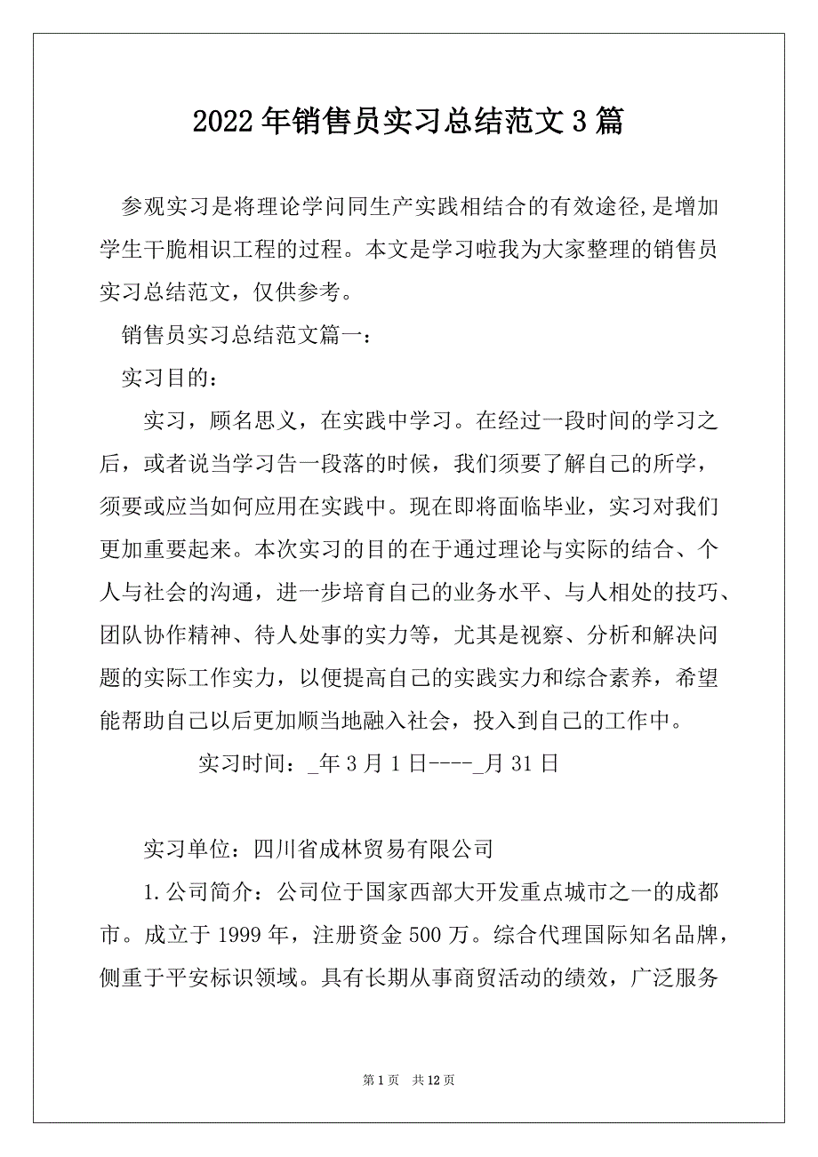 2022年销售员实习总结范文3篇_第1页