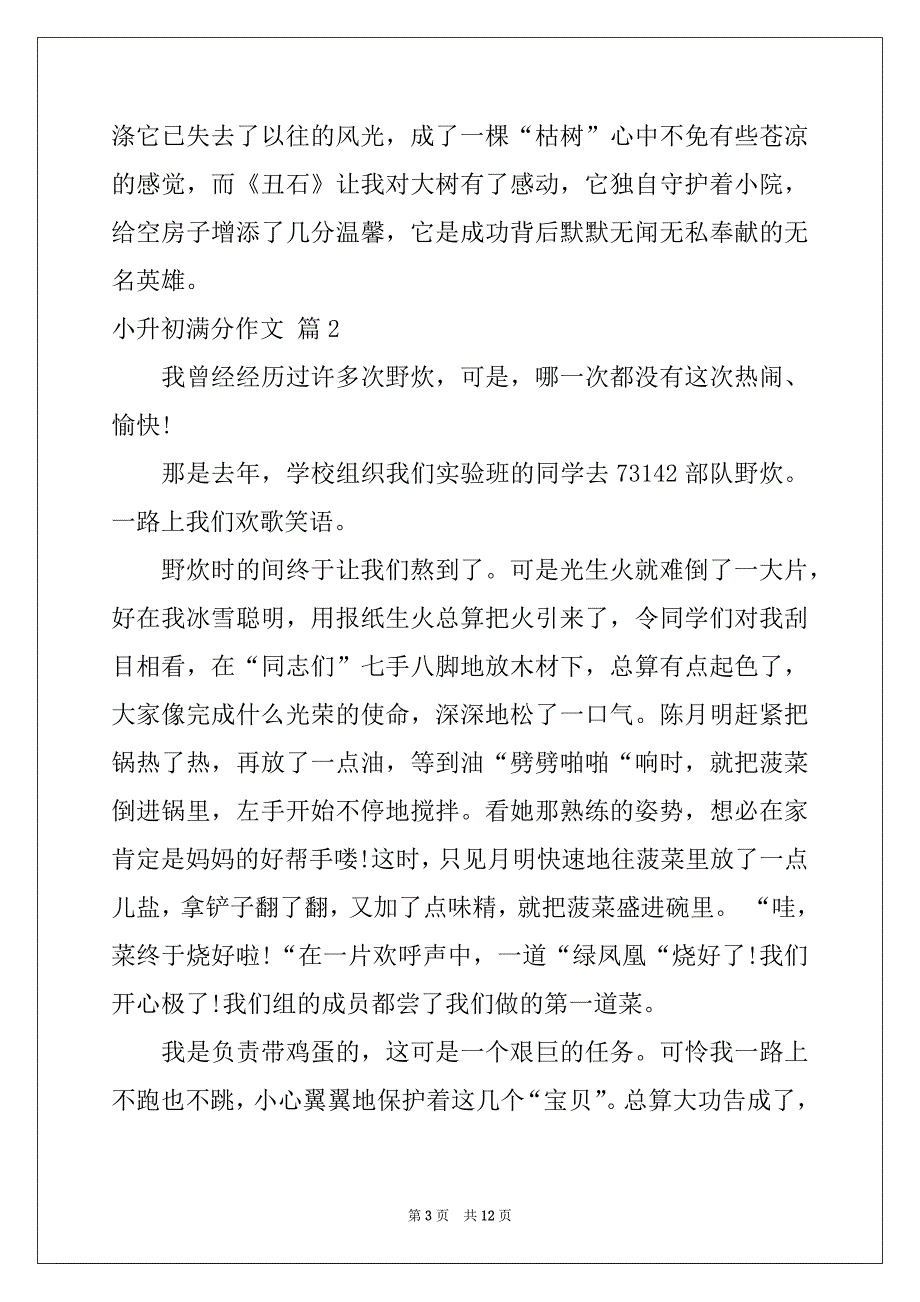 2022年小升初满分作文汇总7篇例文_第3页