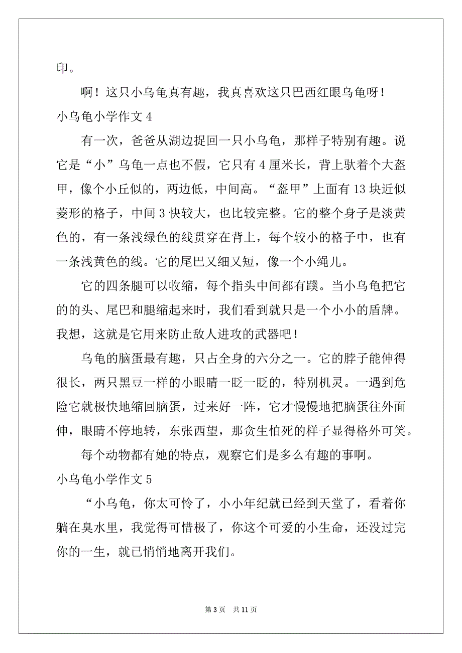 2022年小乌龟小学作文15篇例文_第3页