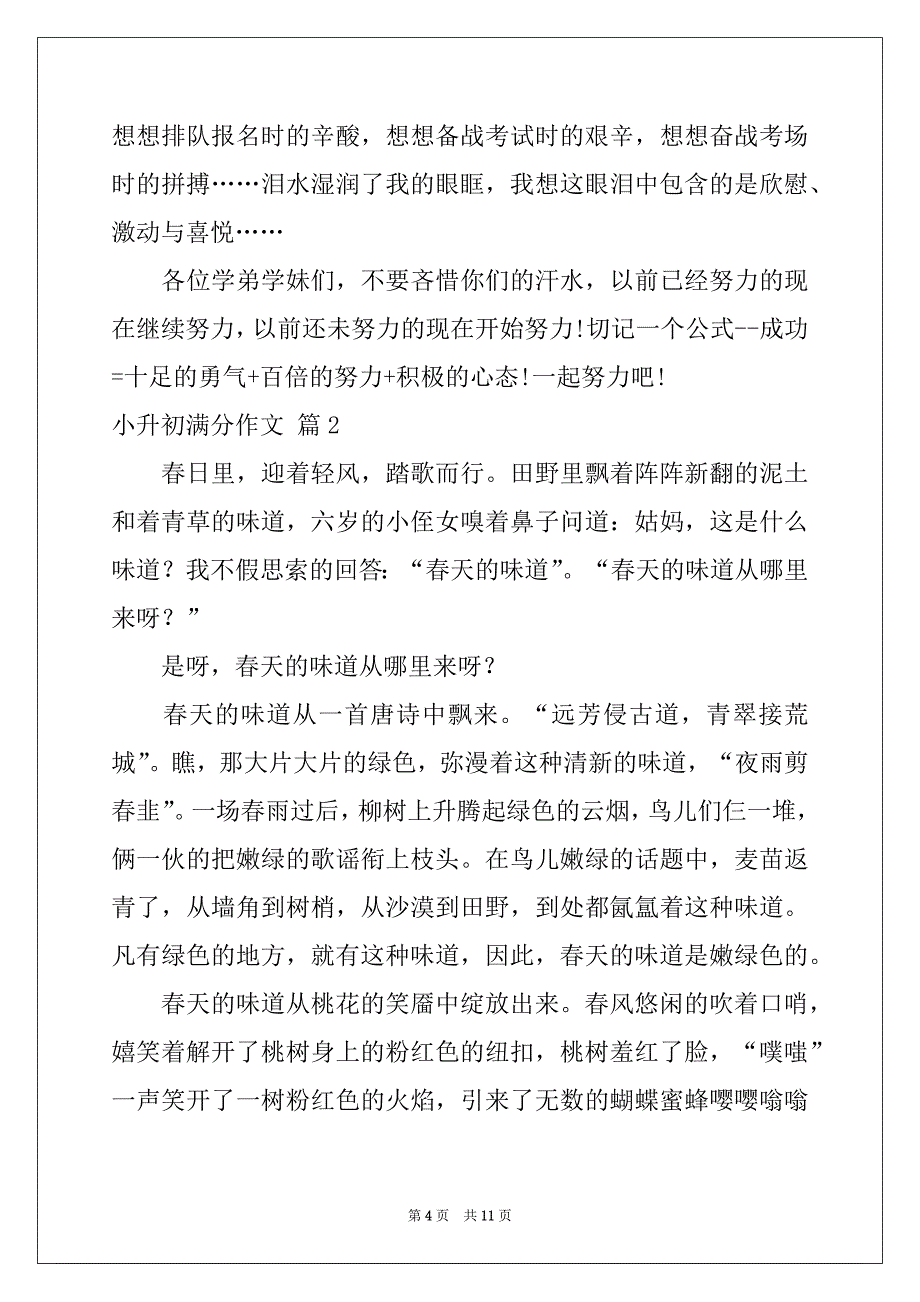 2022年小升初满分作文汇总6篇_第4页