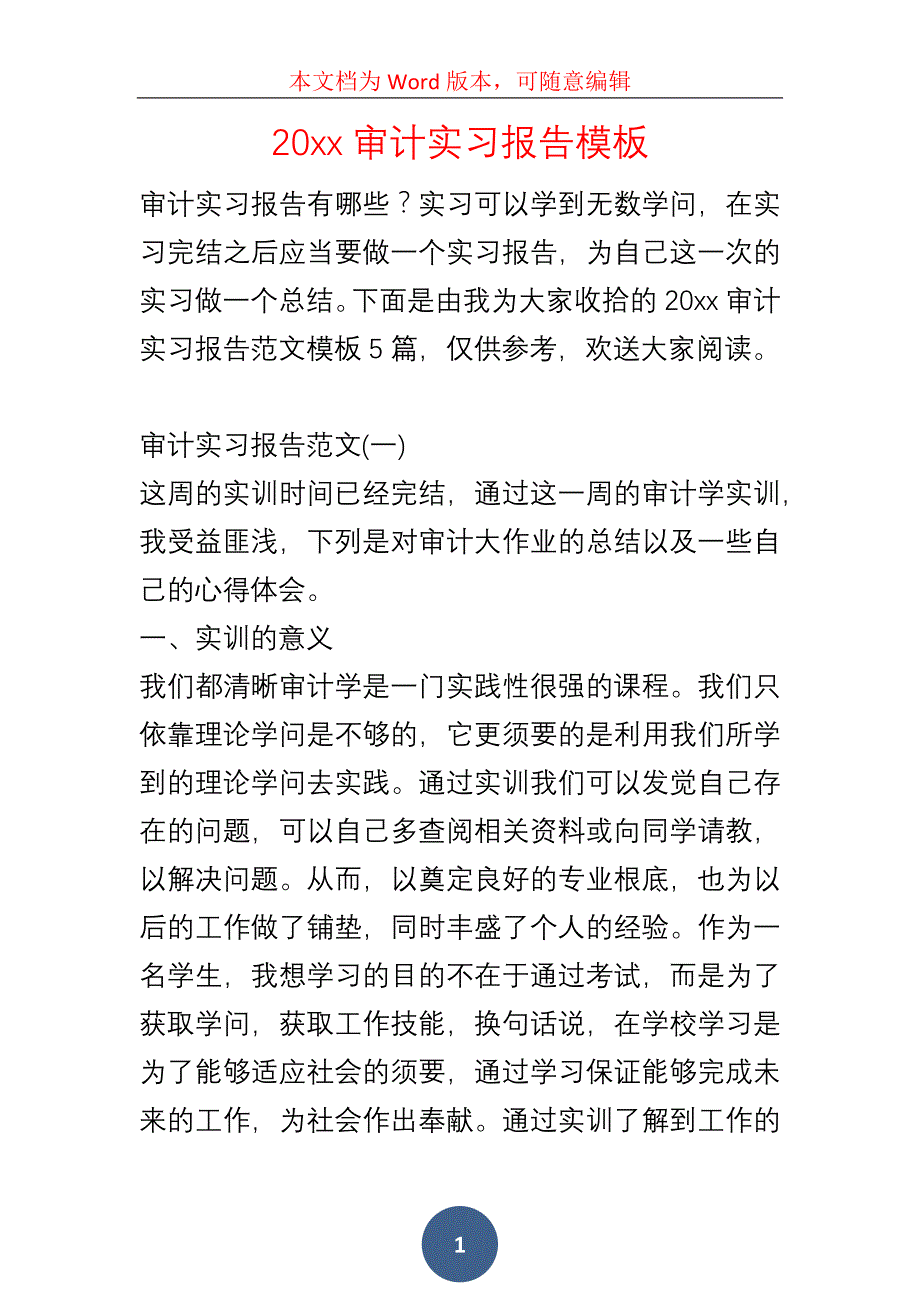 20xx审计实习报告模板_第1页