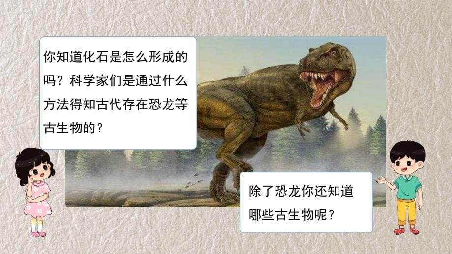 新教科版科学六年级下册 古代生物的多样性 教学课件_第5页