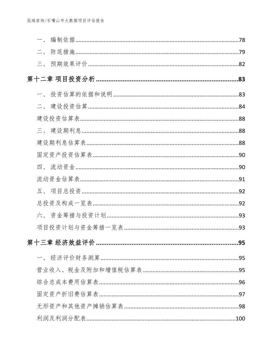 石嘴山市大数据项目评估报告（范文参考）_第5页