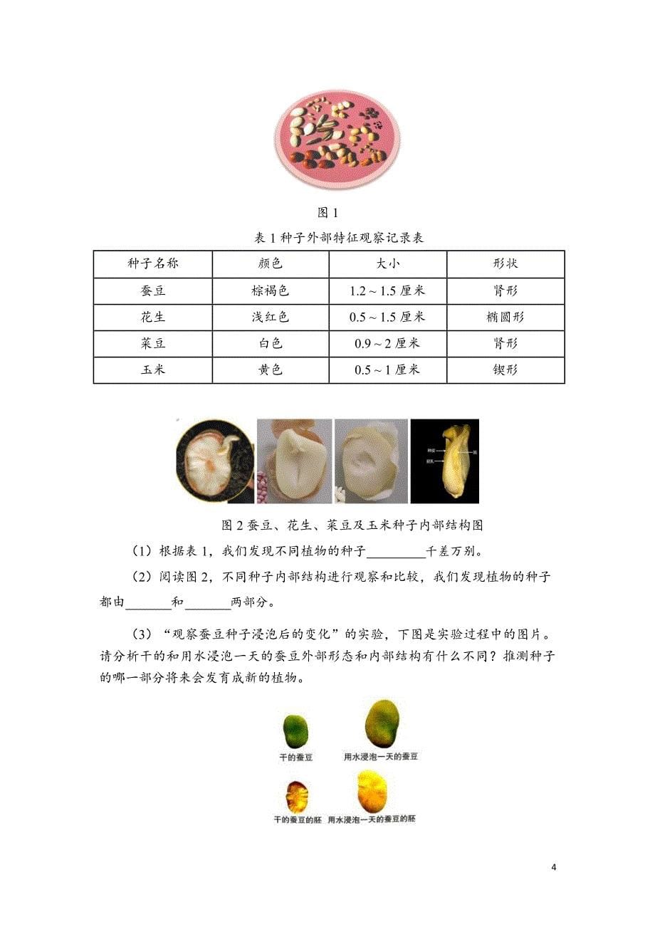 安徽省中小学单元作业设计大赛-小学科学单元作业设计参考样例_第5页