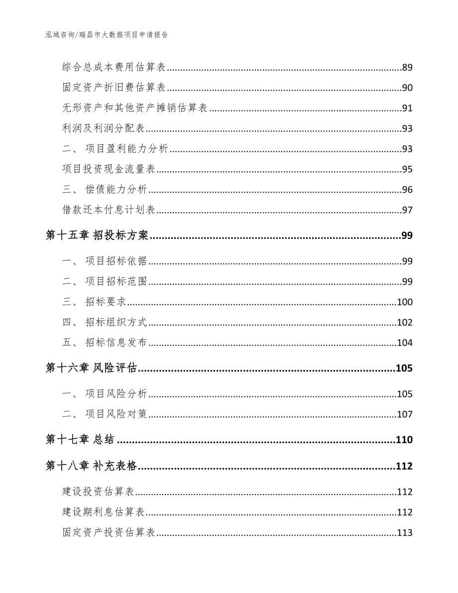 瑞昌市大数据项目申请报告范文模板_第5页